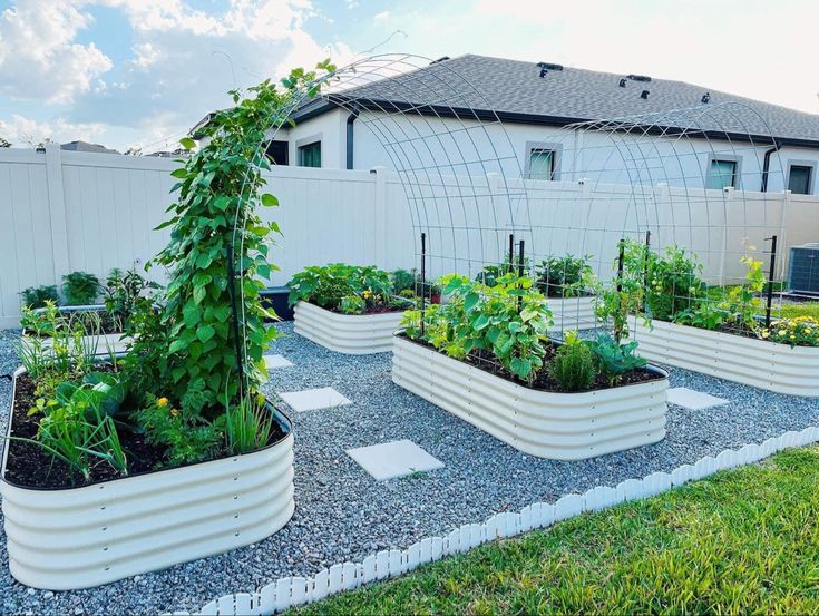 several raised garden beds in front of a white fenced building with green plants growing inside