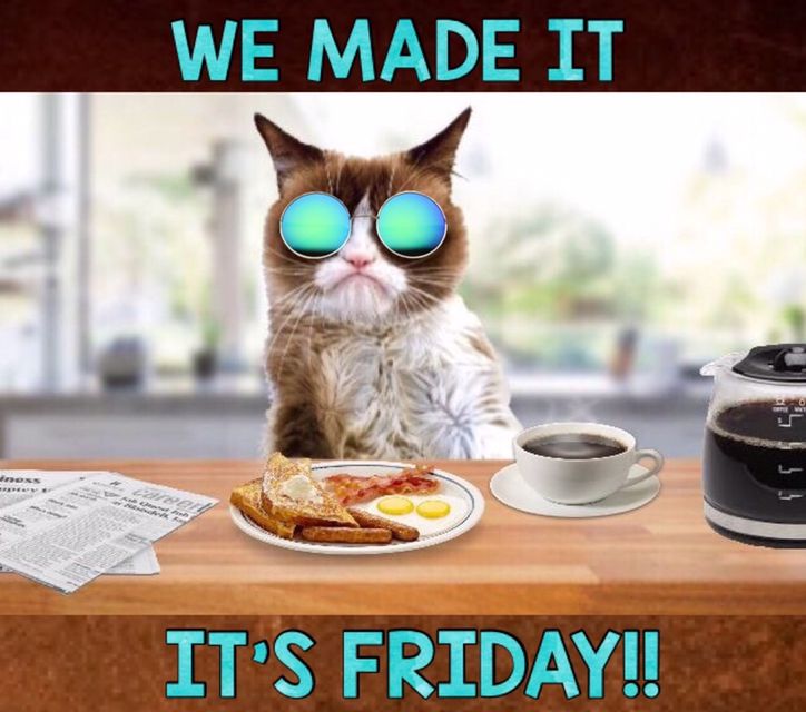 a cat is sitting at a table with food and coffee in front of it that says we made it it's friday