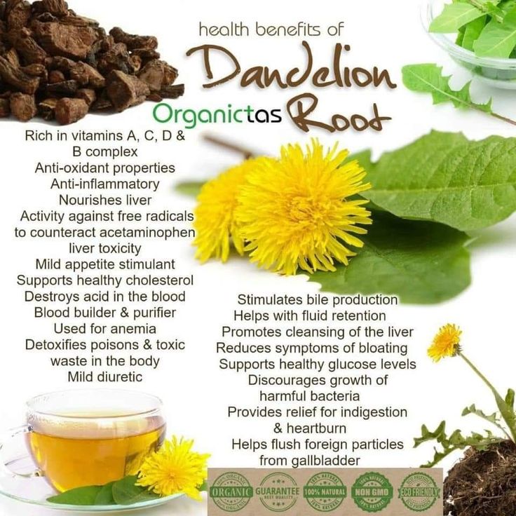 Dandelion Tea Benefits, Avocado Types, Dandelion Benefits, Dandelion Root Tea, Dandelion Tea, Herbal Apothecary, Dandelion Root, Anti Aging Food, Healing Plants