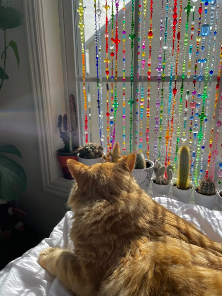 an orange cat laying on top of a bed next to a window covered in beads