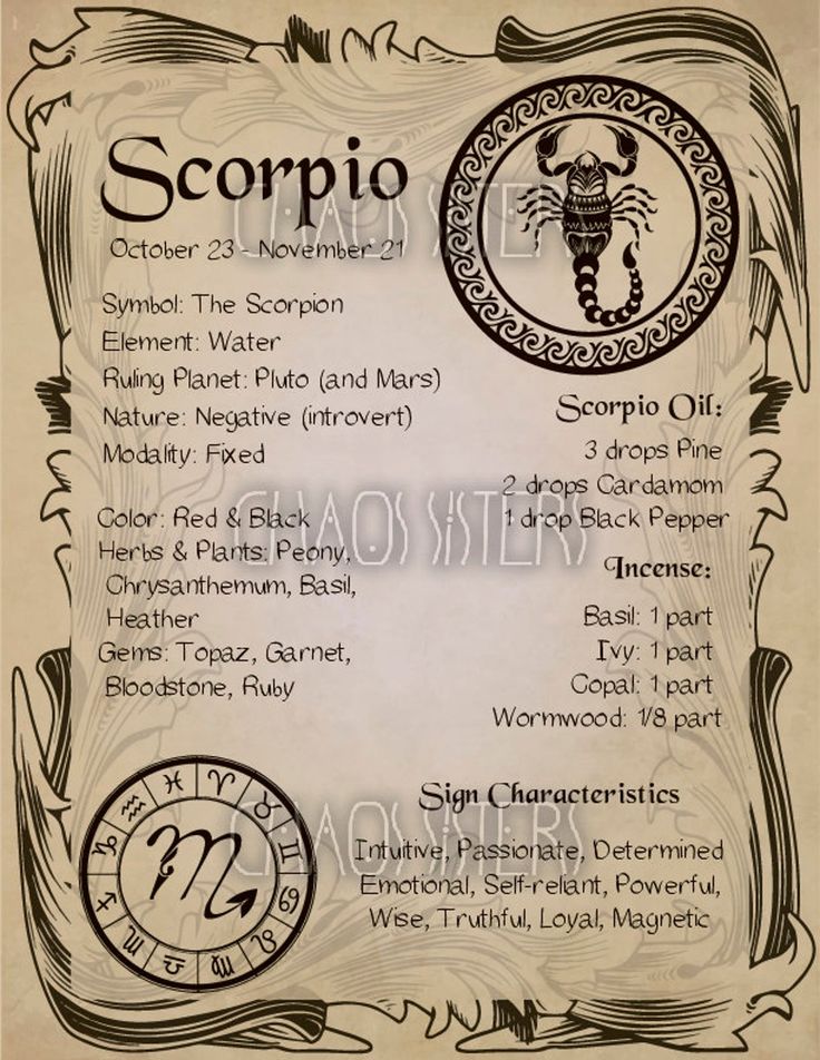 a menu for the scorpion restaurant