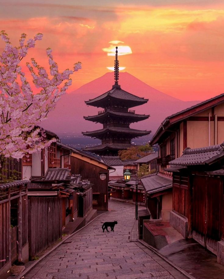 a dog is walking down an alley in front of a tall building with a pagoda on top