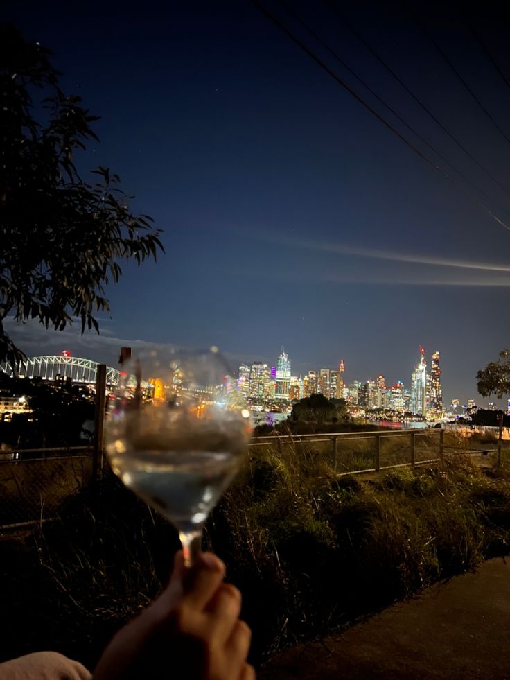 a person holding up a wine glass in front of a cityscape at night