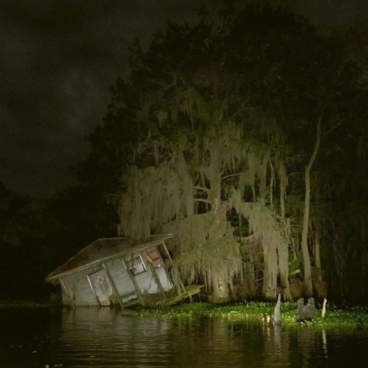 a boat that is sitting in the water at night with moss growing on it's sides