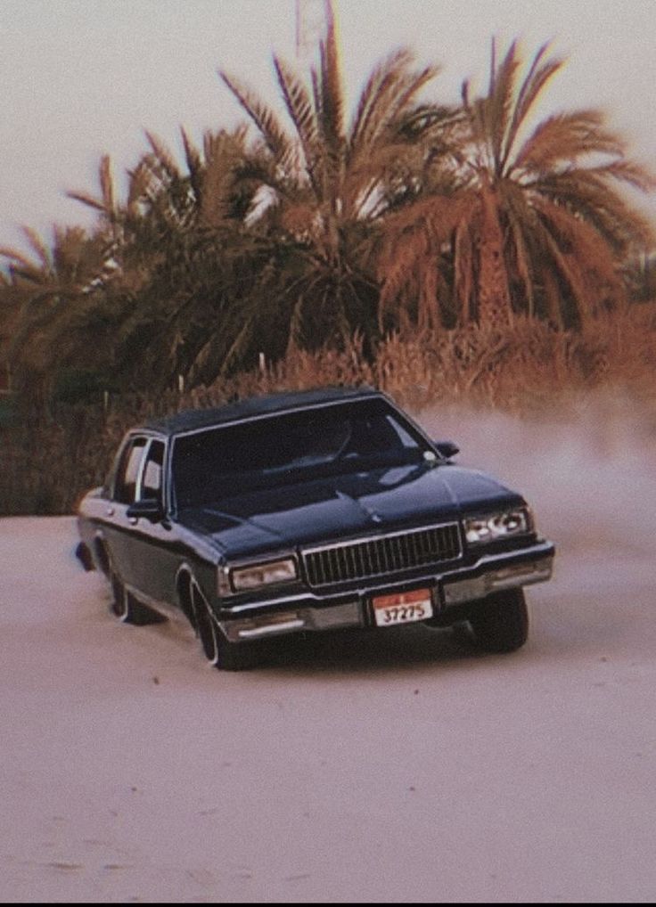 a black car driving down a street next to palm trees and tall grass in the background