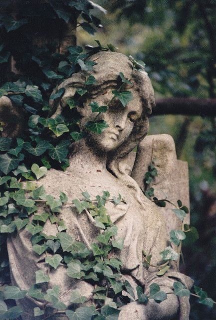 an angel statue with ivy growing on it's face and head, surrounded by green leaves