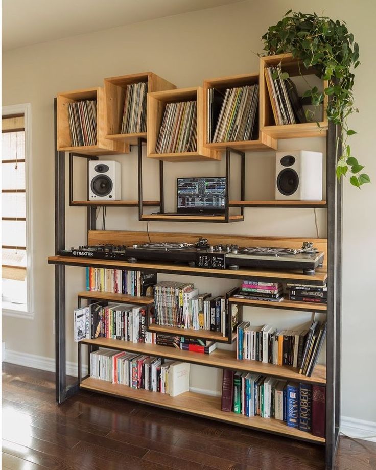 an entertainment center with bookshelves, stereo system and plant in the corner on wooden flooring