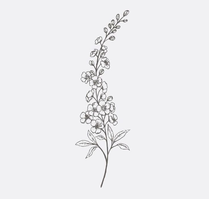 a drawing of a flower on a white background