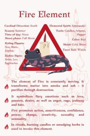 a sign that says fire element with an image of a frog sitting on top of it