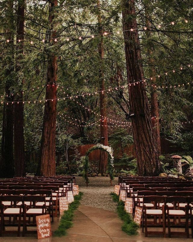 wedding chappel
decoration Twilight Wedding, Forest Theme Wedding, Enchanted Forest Wedding, Dream Wedding Venues, Fairy Wedding, Planning Wedding, Outdoor Reception, Forest Theme, Future Wedding Plans