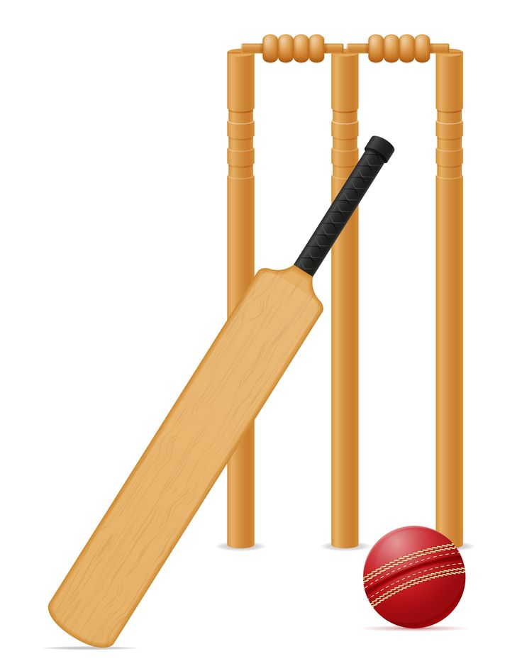 Download cricket equipment bat ball and wicket vector illustration for ...