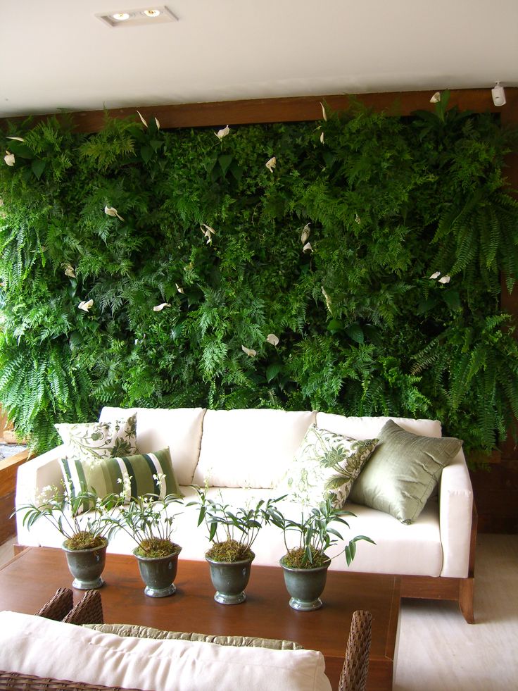 a living room with plants on the wall and couches in front of it's windows