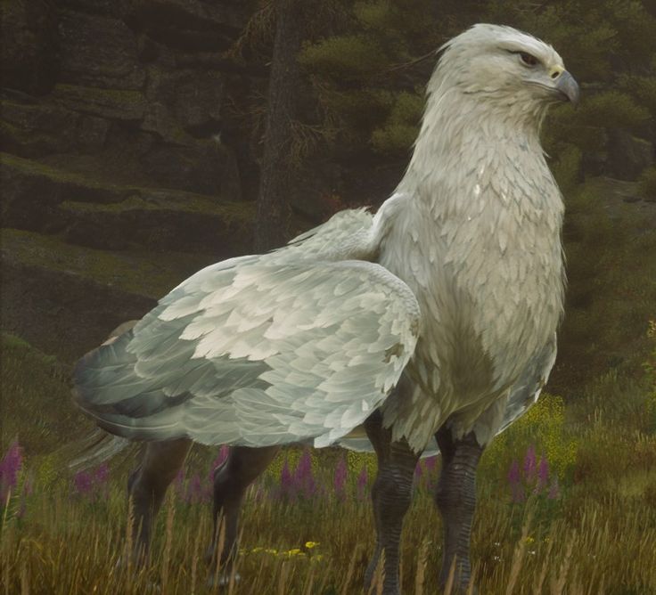 a large white bird standing on top of a grass covered field next to trees and flowers