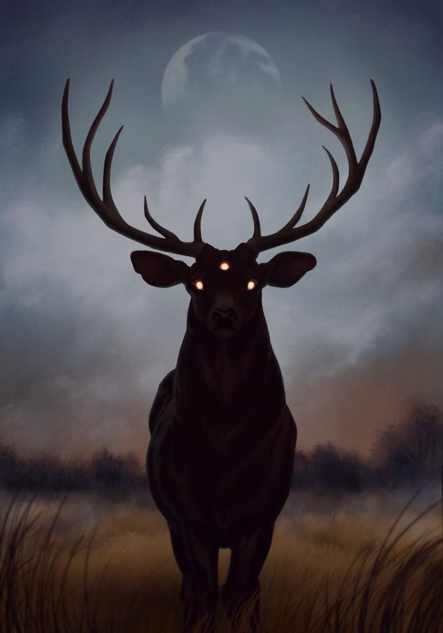 horn, deer, art, antler, stag, reindeer, wildlife, buck, mammal, moose, nature, sunset, dawn, bull, grass Old Gods, A Deer, Animal Pictures, At Night, Deer, Moon, Art