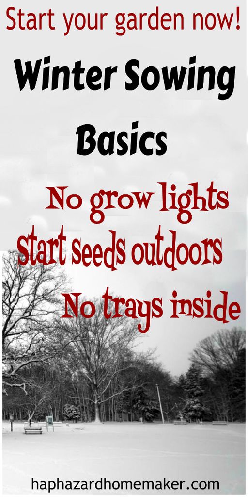 a black and white photo with the words winter sowing basics no grow lights start seeds outdoors