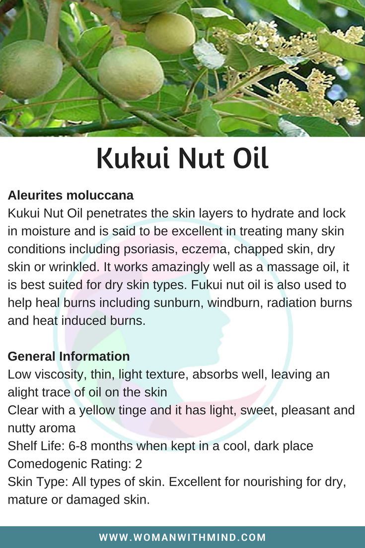 Tamanu Oil Benefits Skin Care, Apricot Kernel Oil Benefits, Diy Ayurvedic Hair Oil, Kukui Oil, Essential Oils Collection, Kukui Nut, Essential Oil Carrier Oils, Macadamia Nut Oil, Essential Oil Remedy