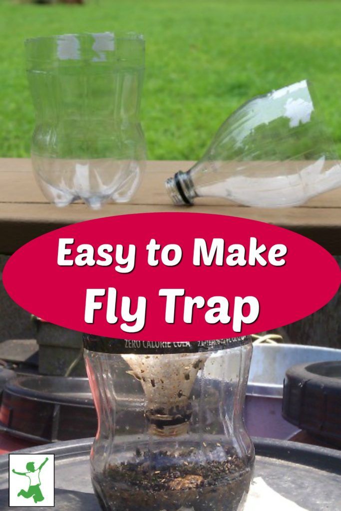 an easy to make fly trap is shown in front of two empty wine glasses on a picnic table