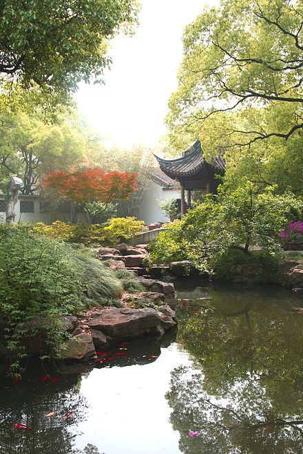 a small pond surrounded by trees and rocks