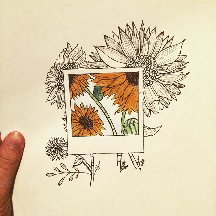 a drawing of sunflowers in a square frame with leaves and flowers around it