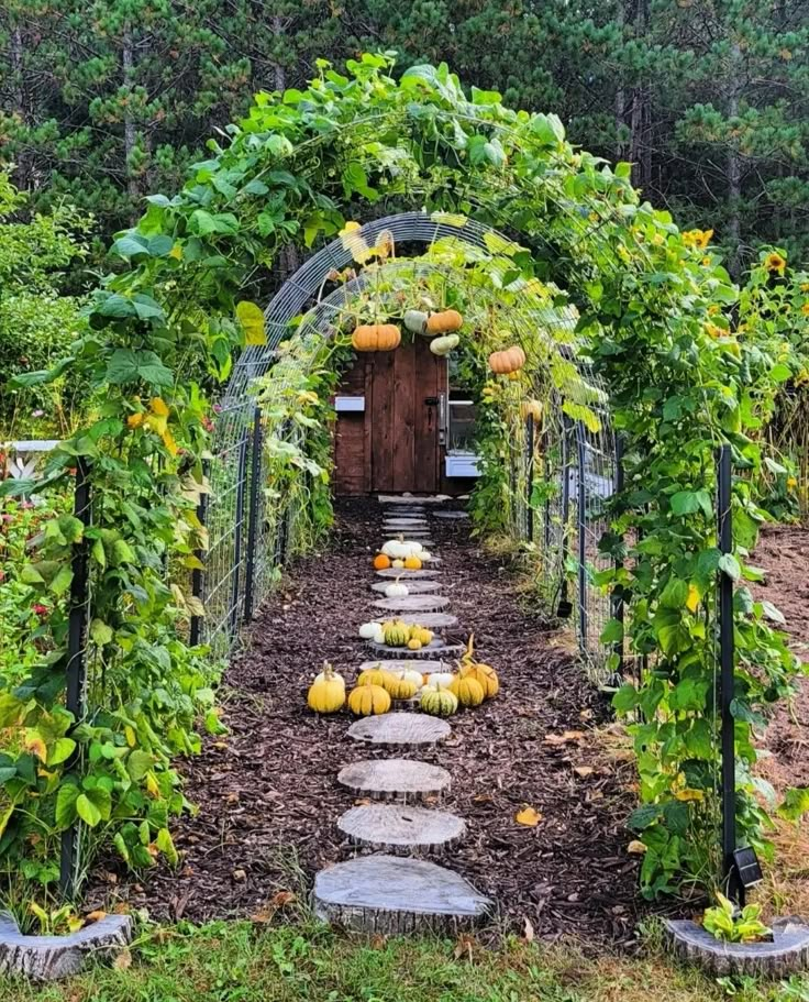 a garden with lots of plants and rocks