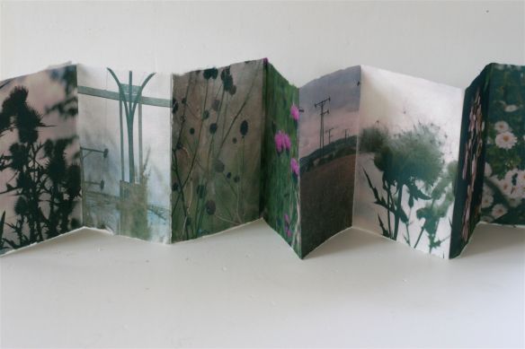 four fold up cards with trees and flowers on them