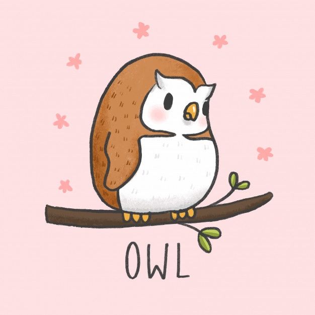 an owl sitting on top of a branch with the word owl in front of it