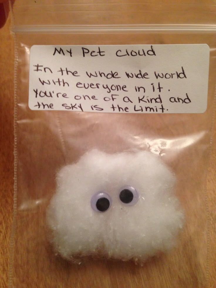 a plastic bag with a fake white cloud in it and a note attached to it