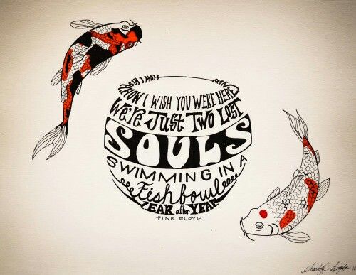 two koi fish swimming in a bowl with the words we love to be true