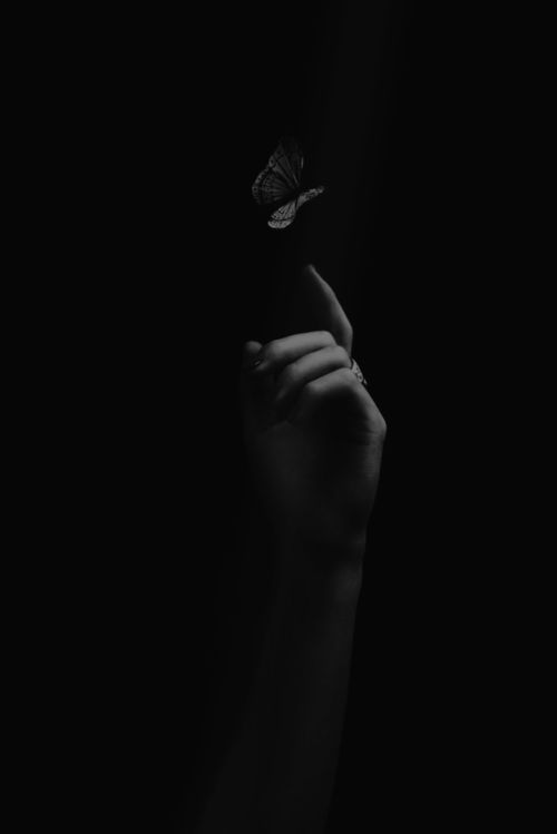 a black and white photo of a person's hand holding a butterfly in the dark