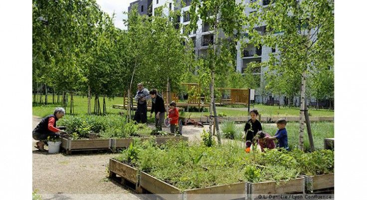 several people in a park with many different types of plants