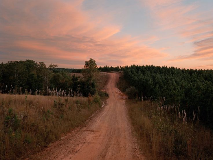 a dirt road in the middle of a field