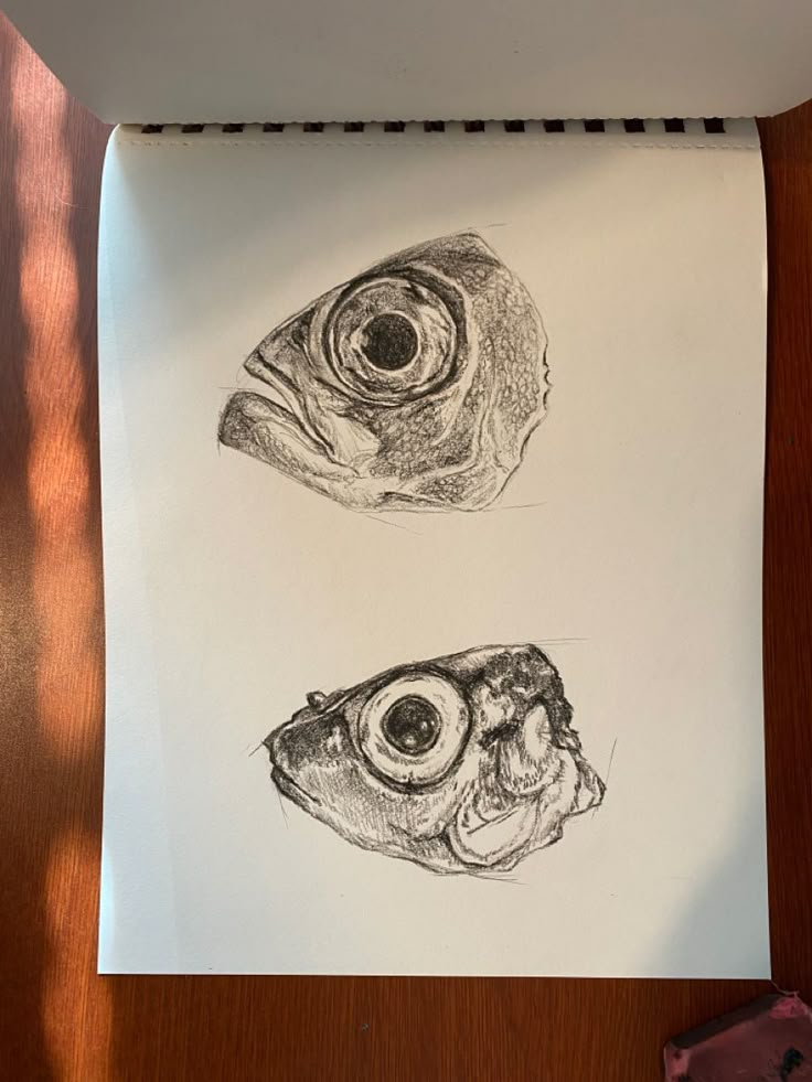 two drawings of fish are shown on a piece of paper