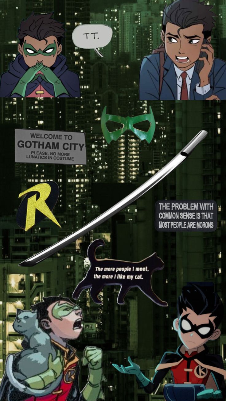 the batman and robin wayne characters are depicted in this poster