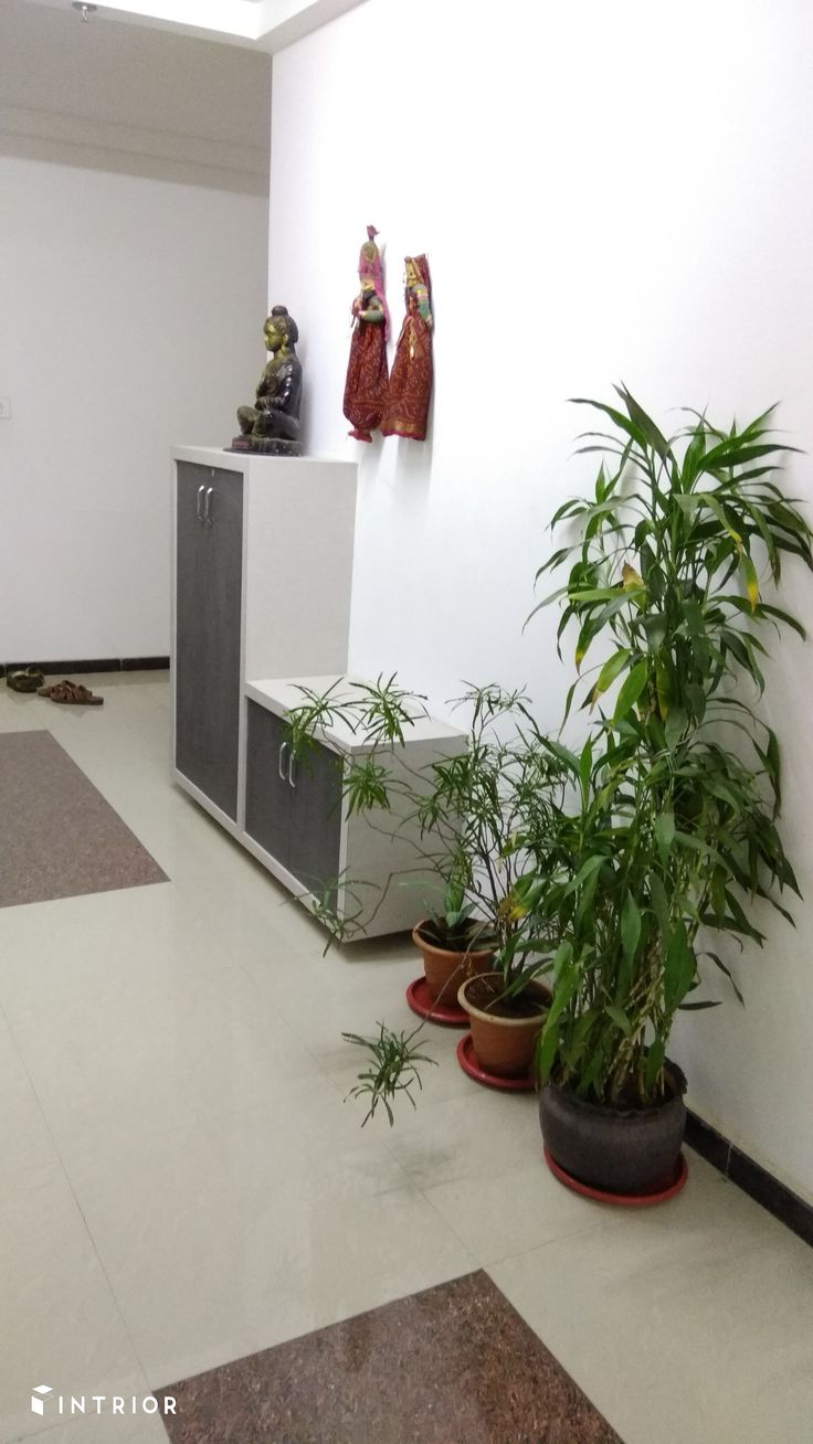 some plants are sitting on the floor in front of a white wall and two sculptures