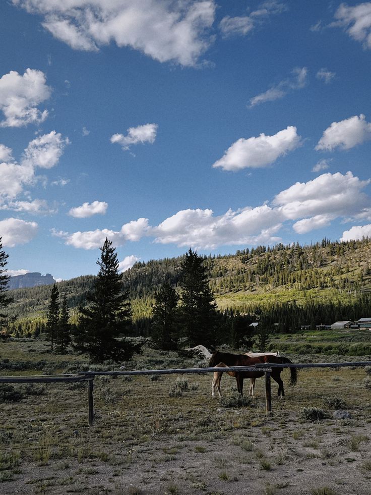 #farm #horse #wyoming #ranch Wyoming Farm, Wyoming Living, Dream Living, Wyoming, Our Life, Horses