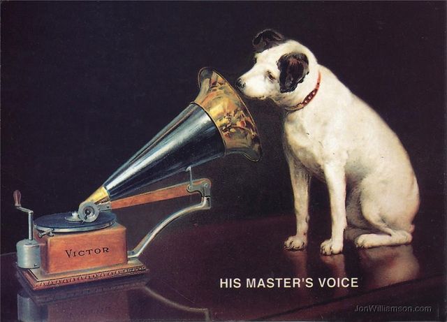 a dog is sniffing a horn on top of a table with a record player in front of it