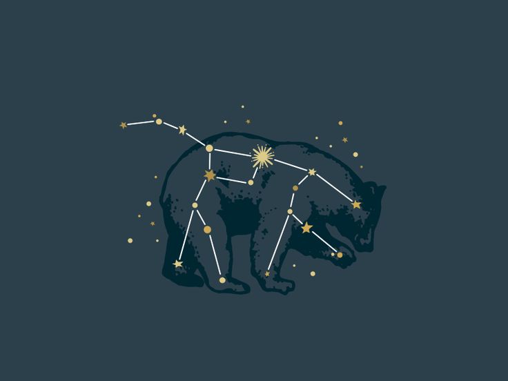 the bear is standing in front of the stars