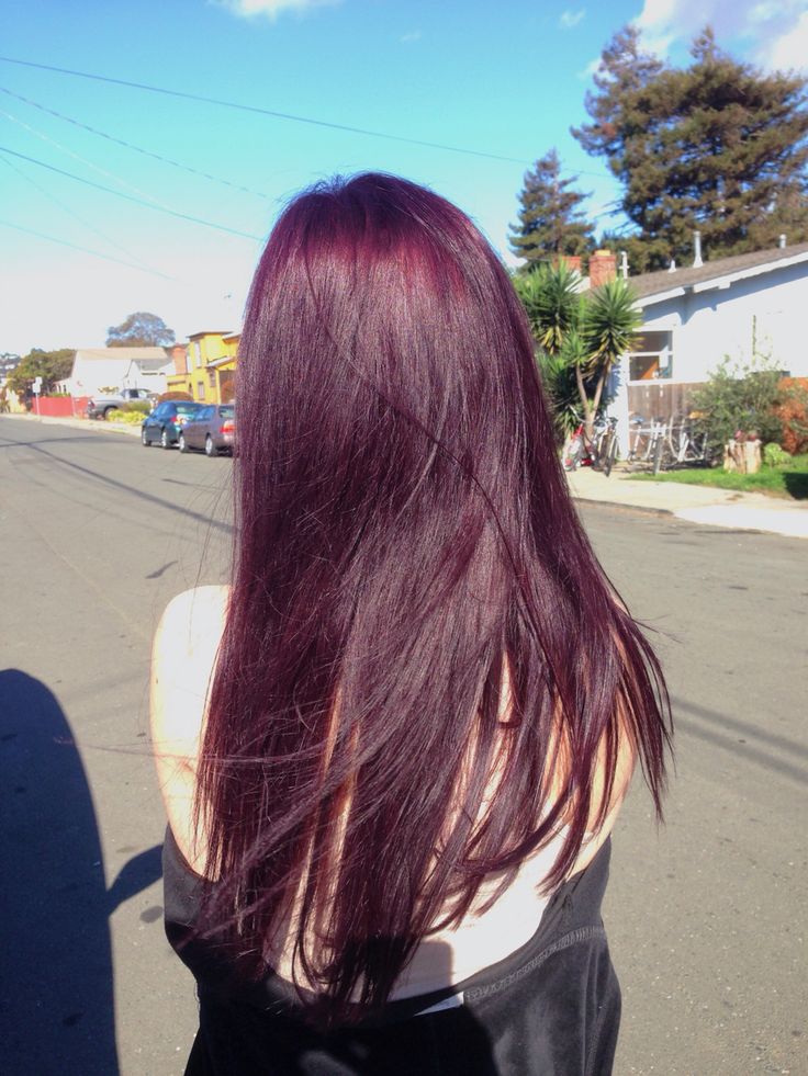 so hard to keep up with but so worth it! Hair Inspo Color Cool Tone, Purple Maroon Hair, Colors To Dye Hair, Cherry Purple Hair, Purple Tinted Hair, Red Violet Hair Color, Purple Ombre Hair, Dark Purple Hair, Plum Hair