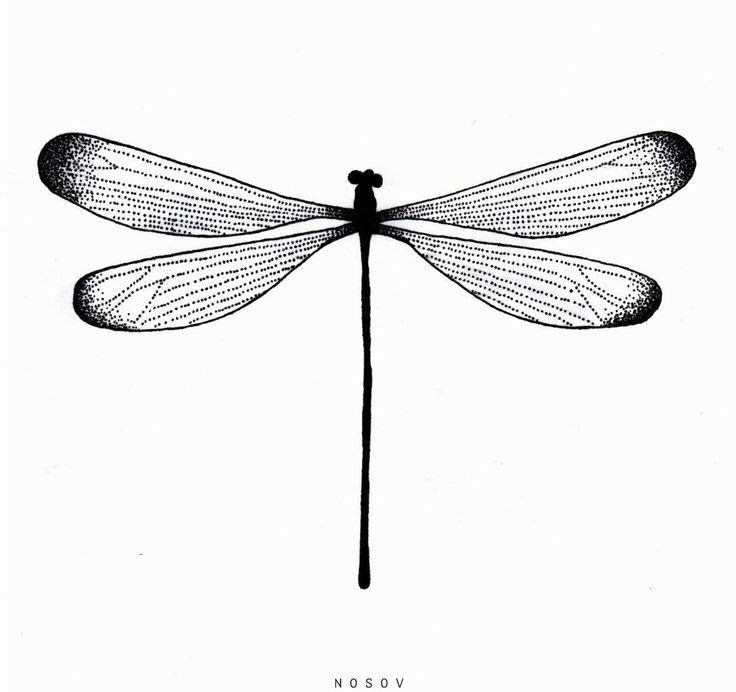 a black and white drawing of a dragonfly