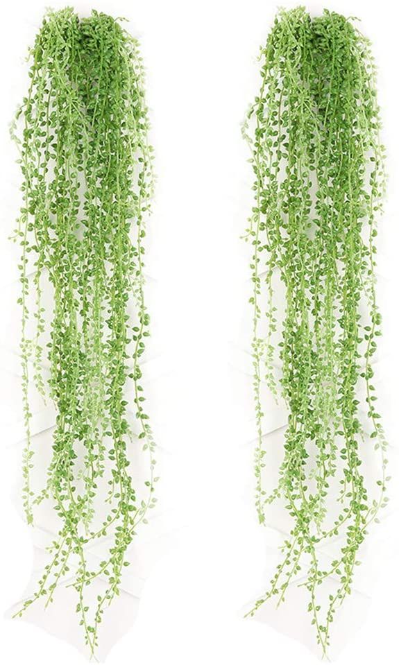 two green plants hanging from the ceiling