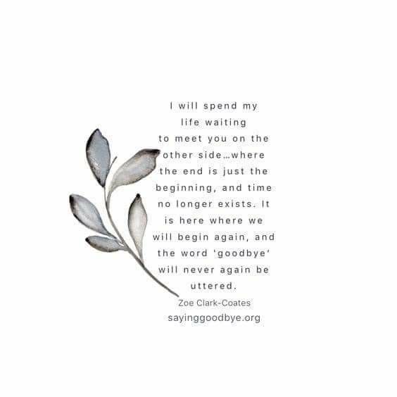 a quote with leaves on it that says i will spend my life waiting to meet you on the other side