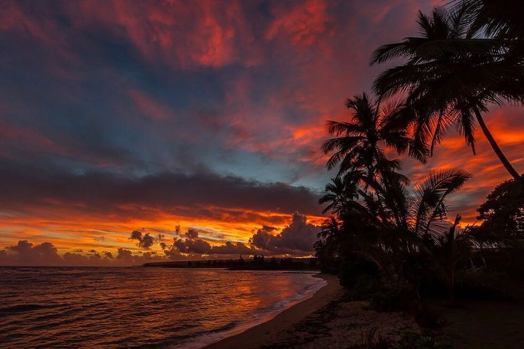 the sun is setting over the ocean with palm trees on the shore and clouds in the sky