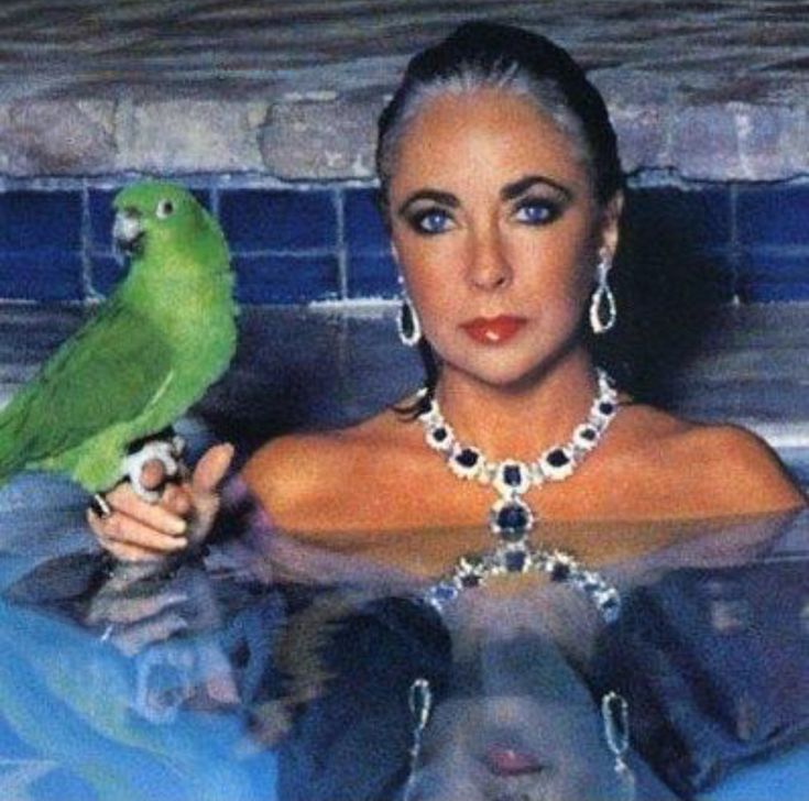 a woman in a pool with a parrot on her arm and another bird sitting on her shoulder