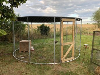 a chicken coop in the middle of a field