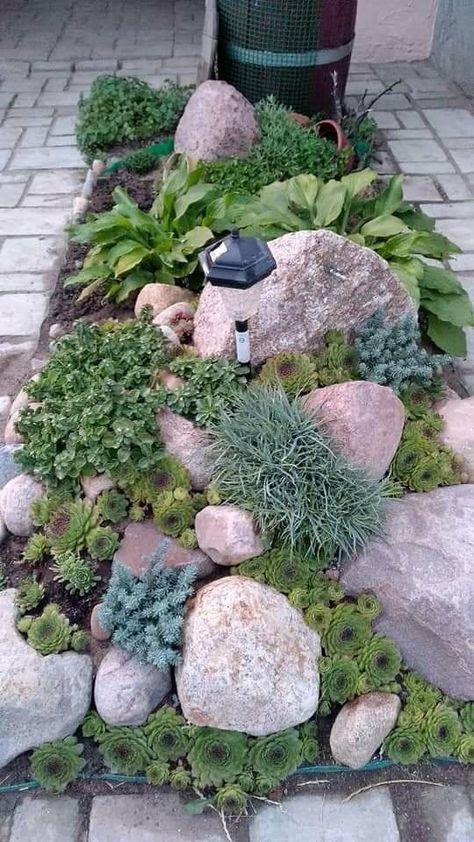 a garden with rocks and plants in it