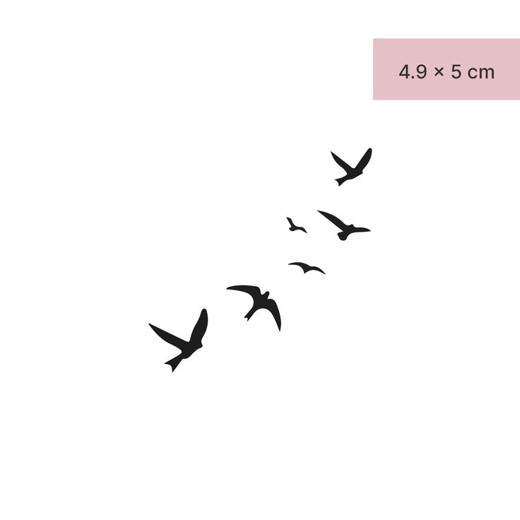 a flock of birds flying across a white sky next to a pink border with the words 4 9m on it