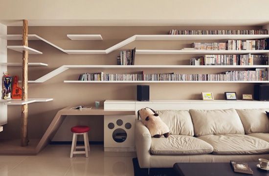 a dog sitting on the back of a couch in front of a bookshelf