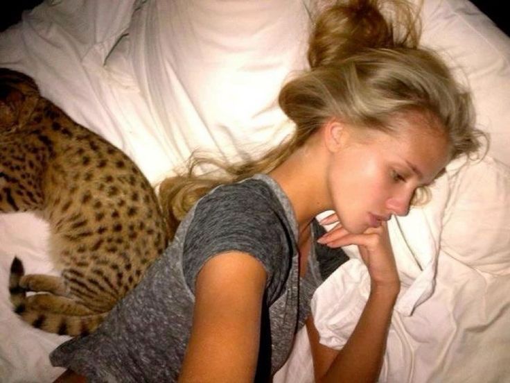 a woman laying in bed next to a cat on her lap and talking on the phone