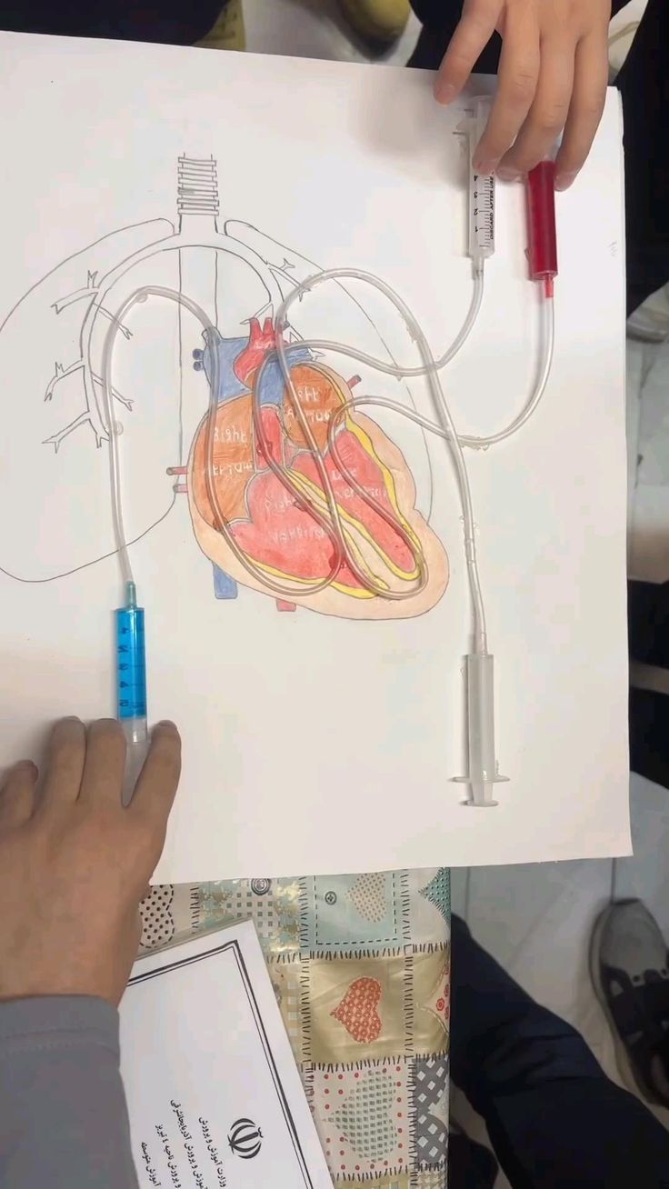 a person holding up a drawing of a human heart with wires attached to the side