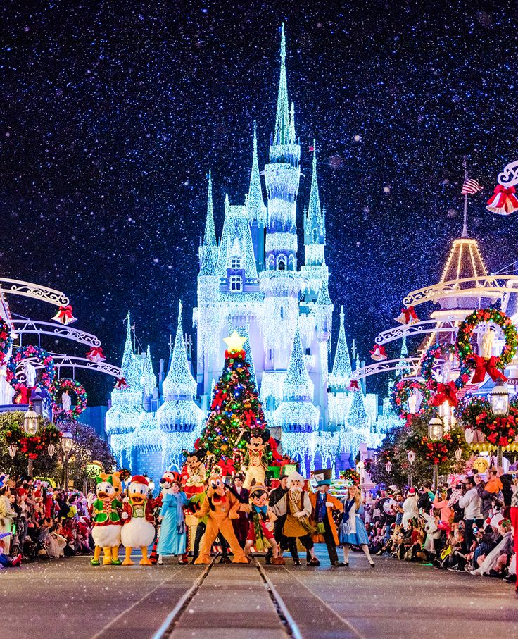 the main entrance to disney world at christmas time